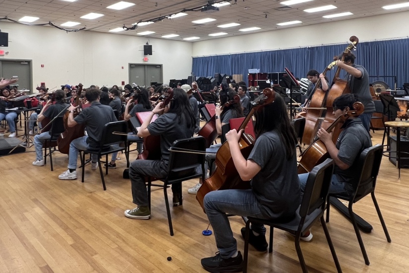 Health Careers HS Orchestra Disney Workshop